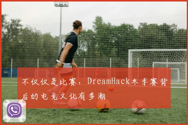 不仅仅是比赛，DreamHack冬季赛背后的电竞文化有多潮