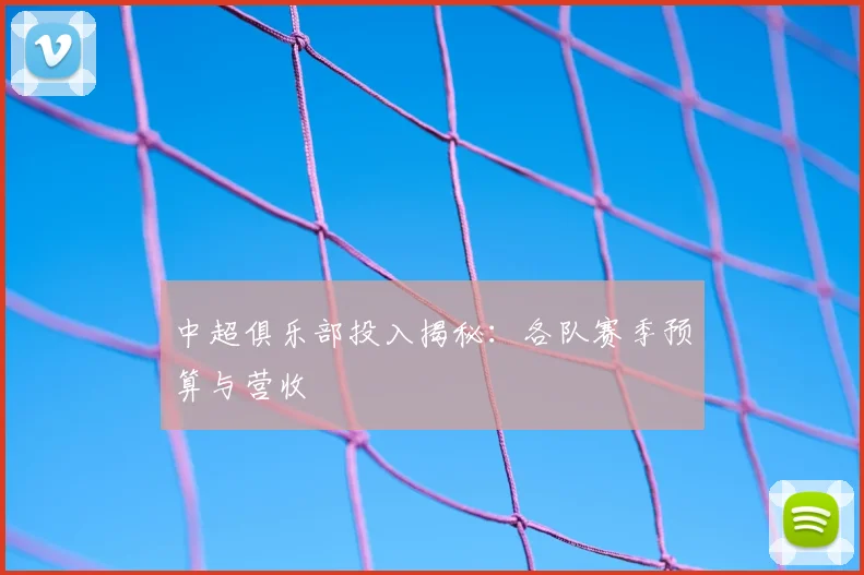 中超俱乐部投入揭秘:各队赛季预算与营收