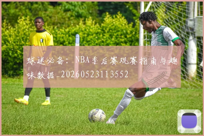 球迷必备:NBA季后赛观赛指南与趣味数据_20260523113552