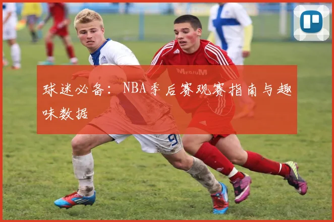 球迷必备：NBA季后赛观赛指南与趣味数据
