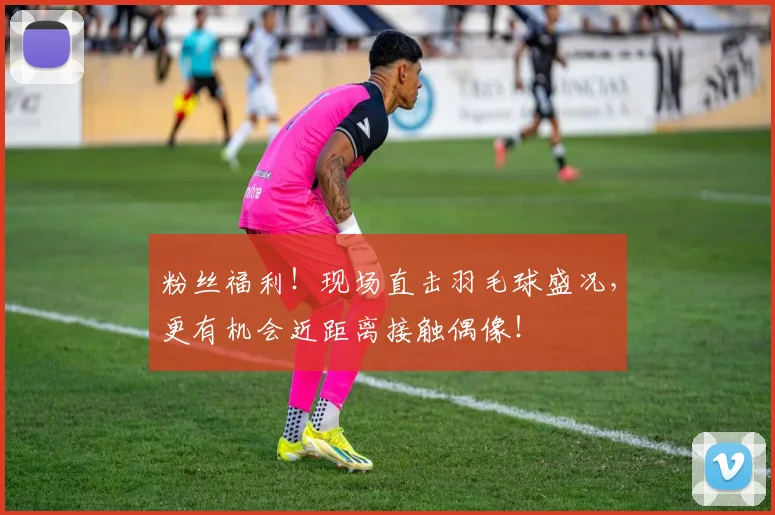 粉丝福利!现场直击羽毛球盛况,更有机会近距离接触偶像!