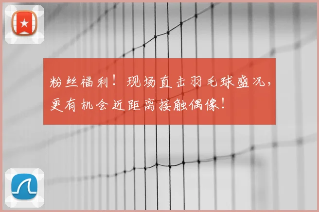 粉丝福利！现场直击羽毛球盛况，更有机会近距离接触偶像！